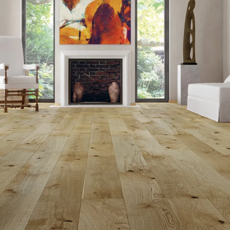 STEJAR EXCITE photo1